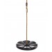 Swingan - Cool Disc Swing with Adjustable Rope - Fully Assembled - Black